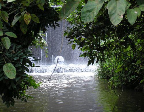 Wasserfall